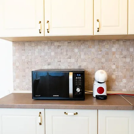 公寓 Alexis Spacious Classic *