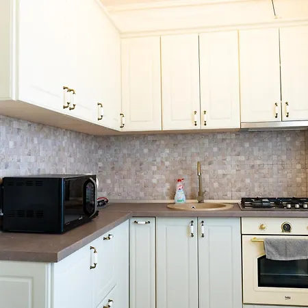 公寓 Alexis Spacious Classic