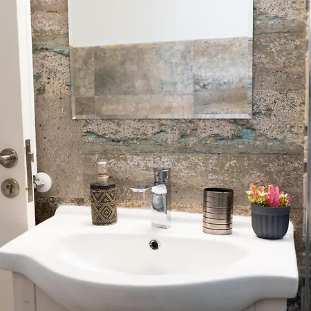 公寓 Alexis Spacious Classic